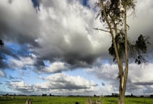 星空体育:先睹为快!第十二届全国少数民族传统体育运动会明日开幕央视新闻客户端.