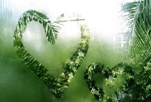 沙特自强阶段开赛以来战绩：场比赛胜平负.