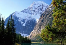 沙特自强阶段开赛以来战绩:场比赛胜平负.