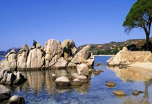 星空体育：先睹为快！第十二届全国少数民族传统体育运动会明日开幕央视新闻客户端.